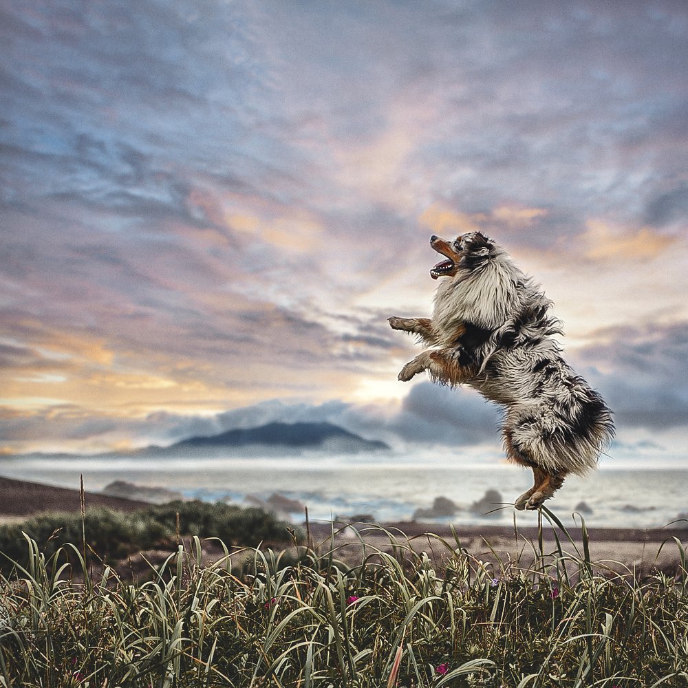 Photograph by Константин Кокорев