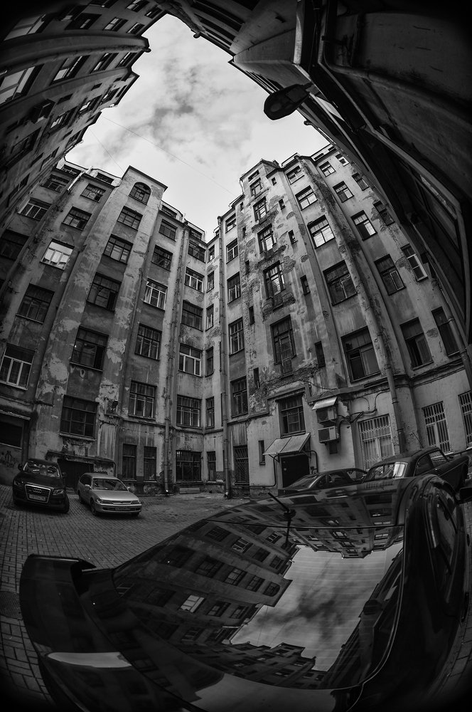 Photograph by Владимир Пальчик