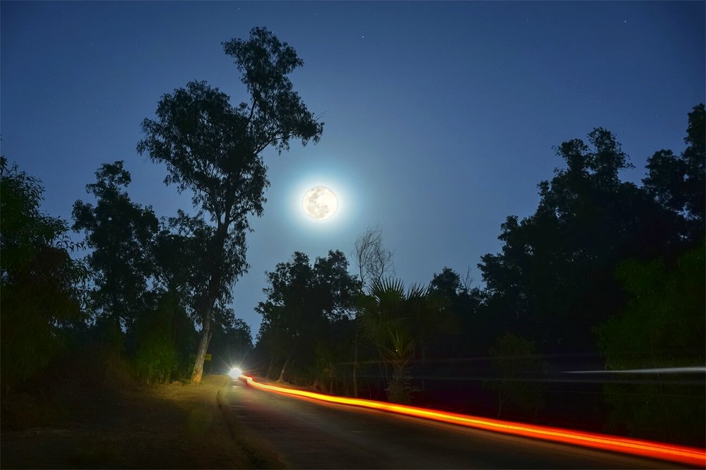 Фотография автора Ashutosh Pal