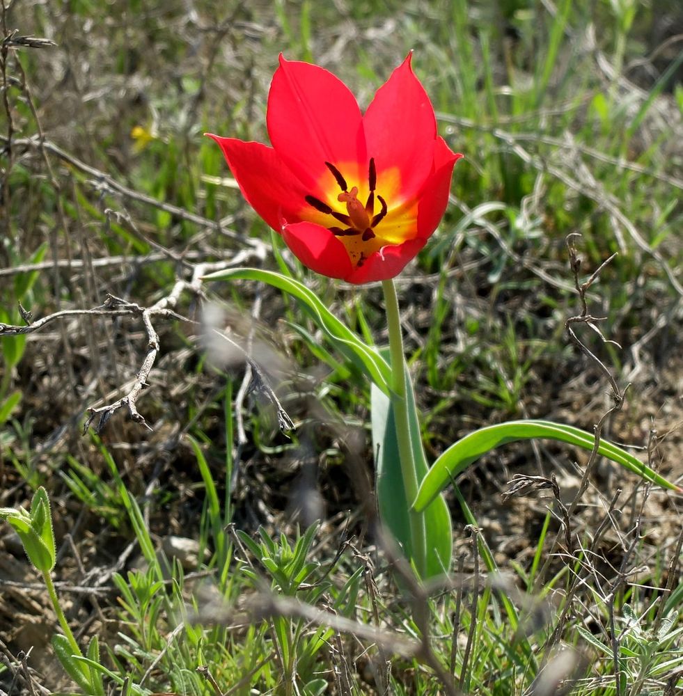 Photograph by Ираида Стародубцева