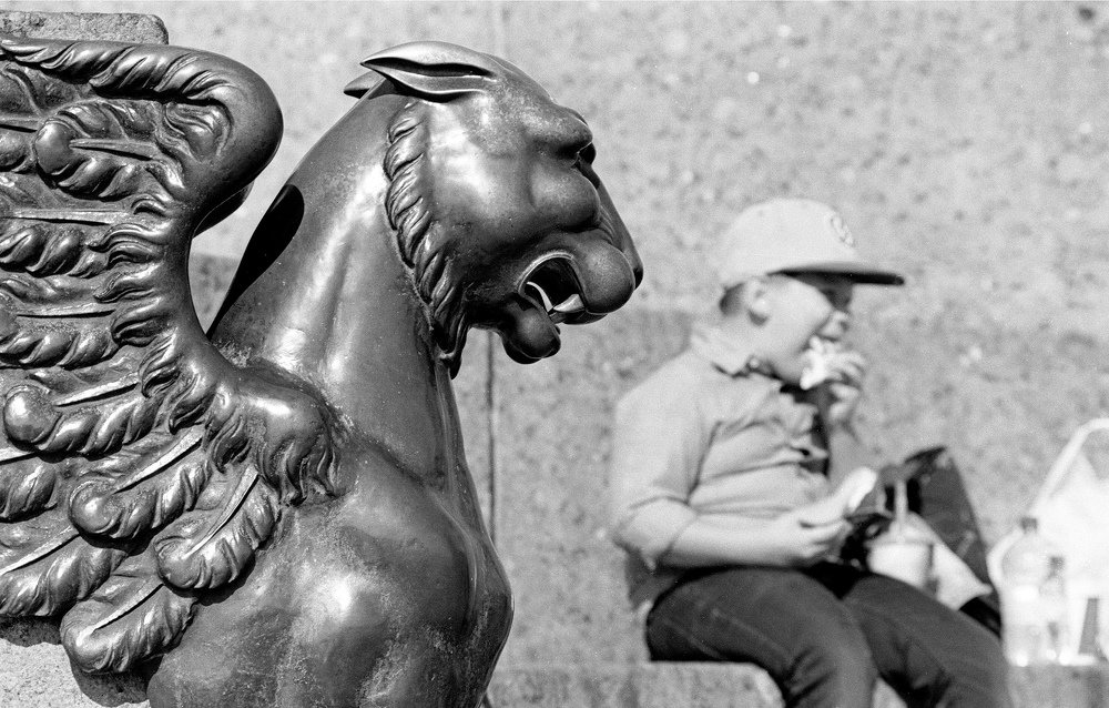 Photograph by Владимир Пальчик