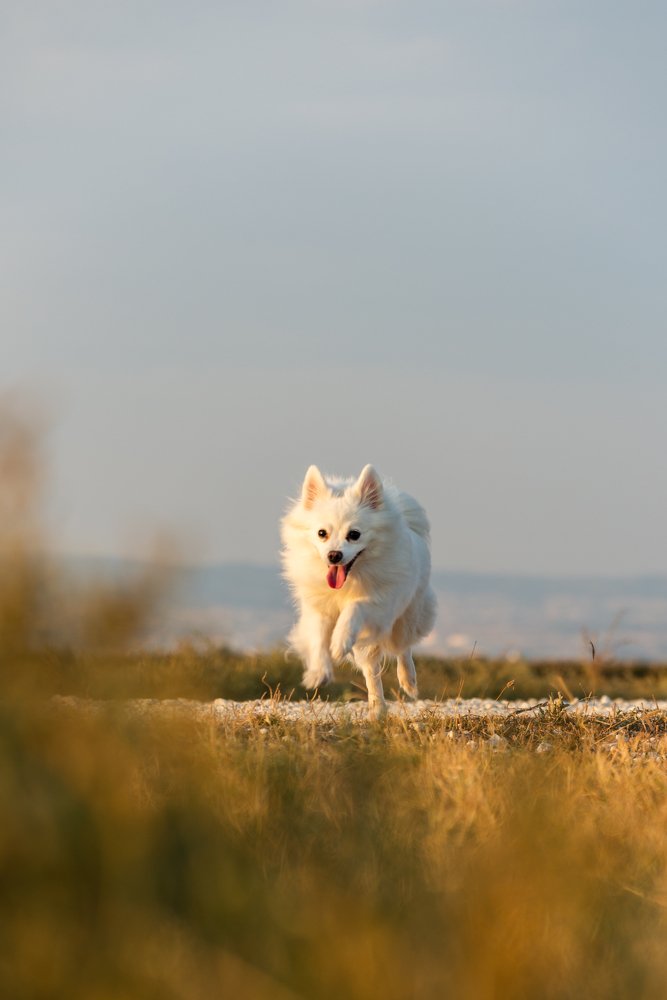 Photograph by Odysseas Chloridis