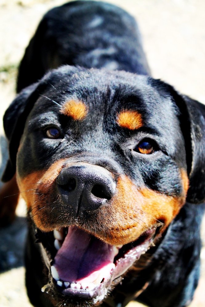 Photograph by Елизавета Синица