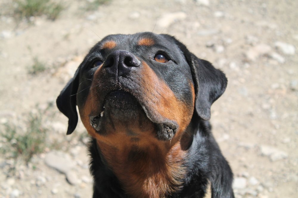 Photograph by Елизавета Синица