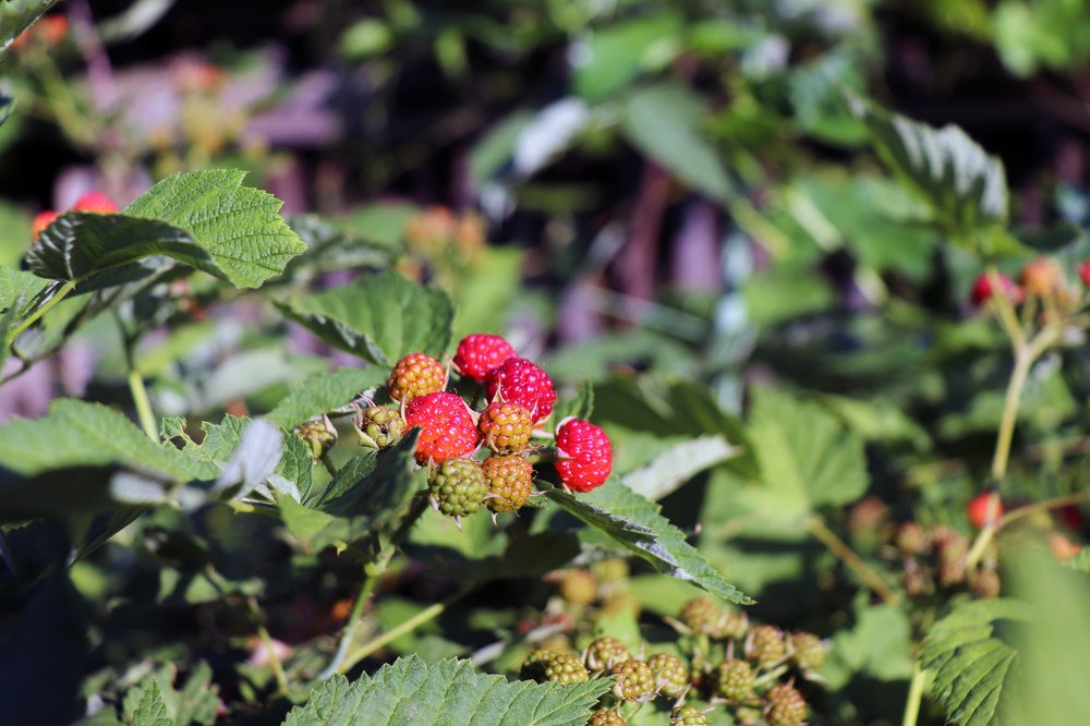 Photograph by Федоренко Элеонора