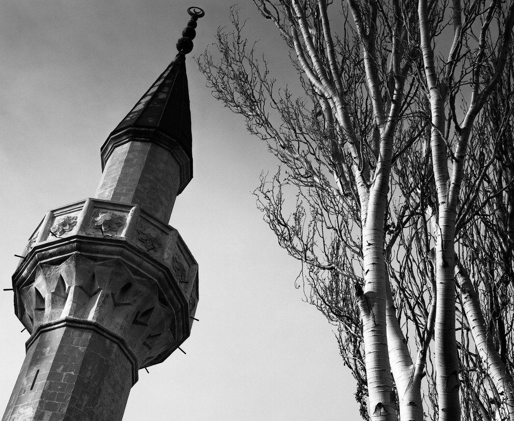 Фотография автора Алена Гамоля