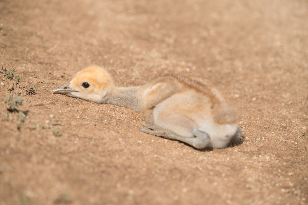 Photograph by Ольга Ли