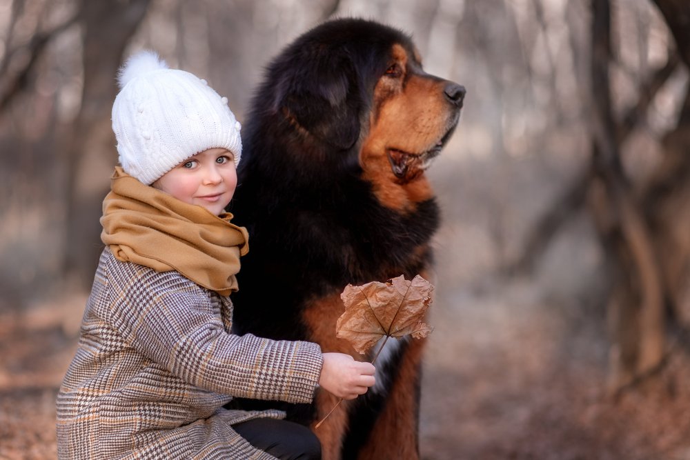 Осенний портрет