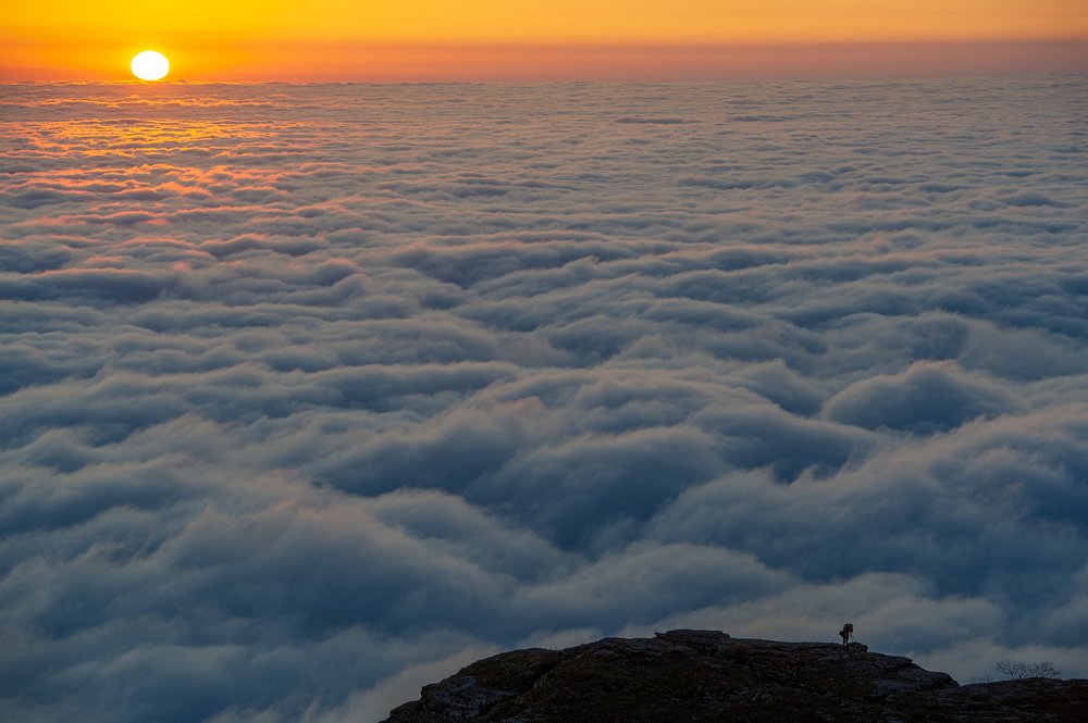 Photograph by Aleksandre