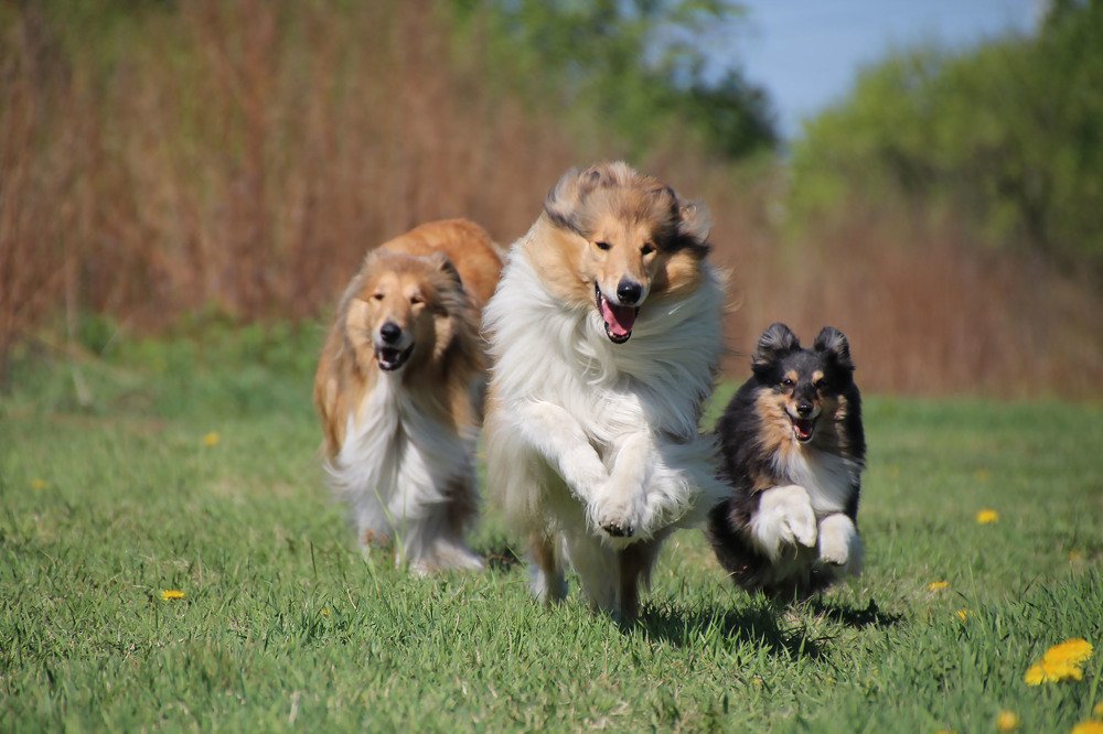 Photograph by СВЕТЛАНА ГРАЧЕВА