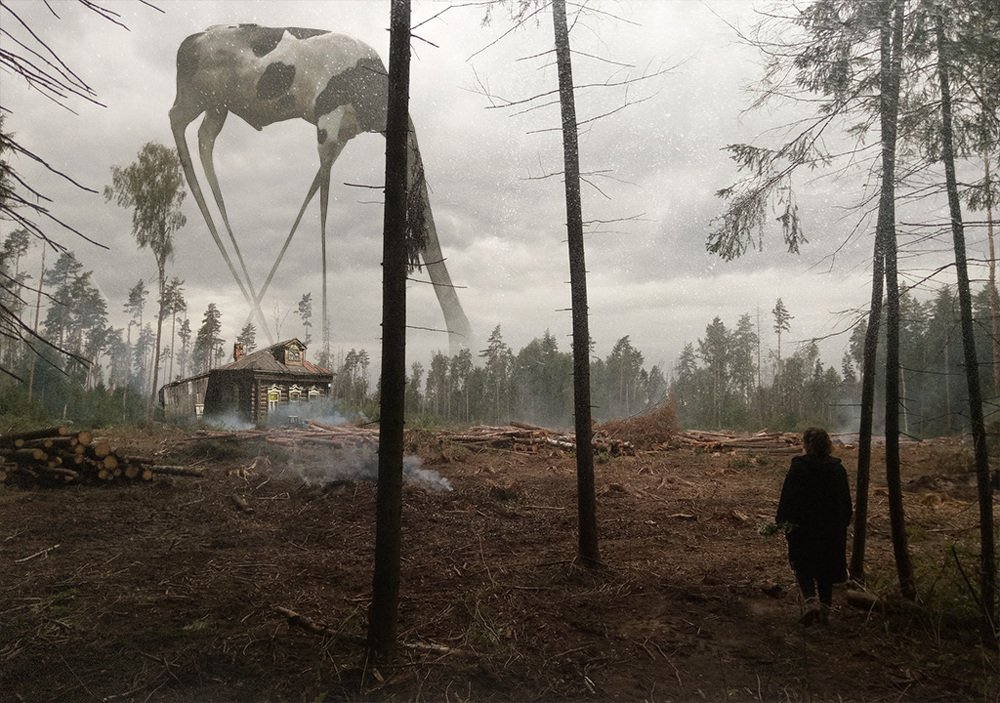 Photograph by Виктор Поздняк