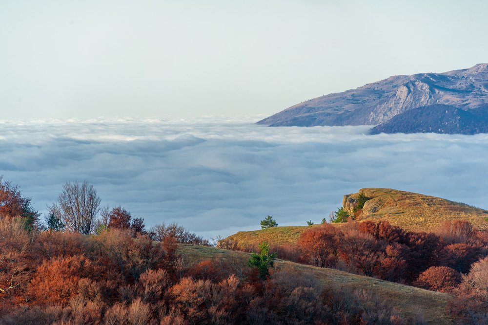 Photograph by Aleksandre