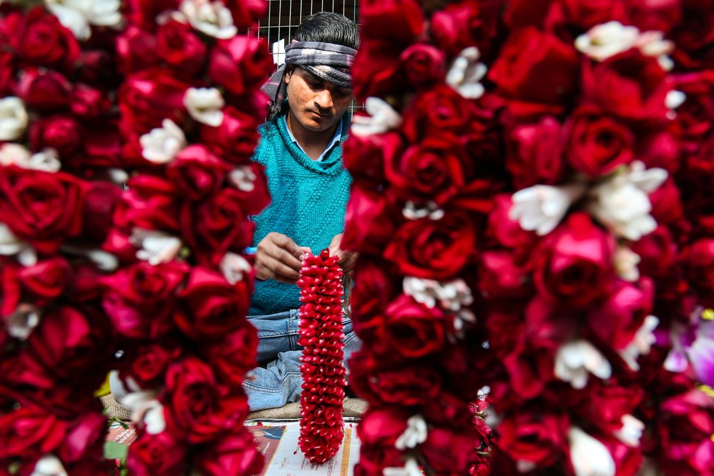 Photograph by Jobit George