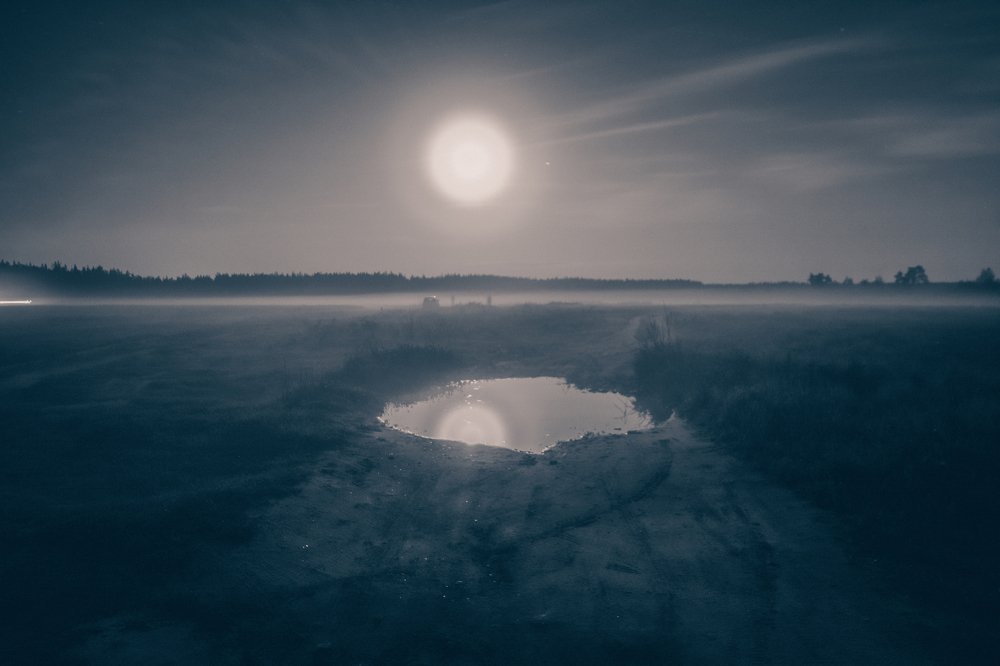 Photograph by Алена Николаева