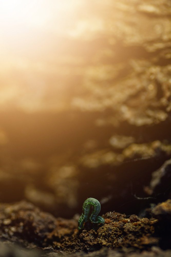 Photograph by Алена Николаева