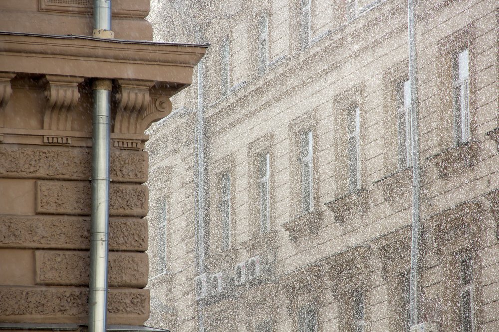 Photograph by Полина Парамонова