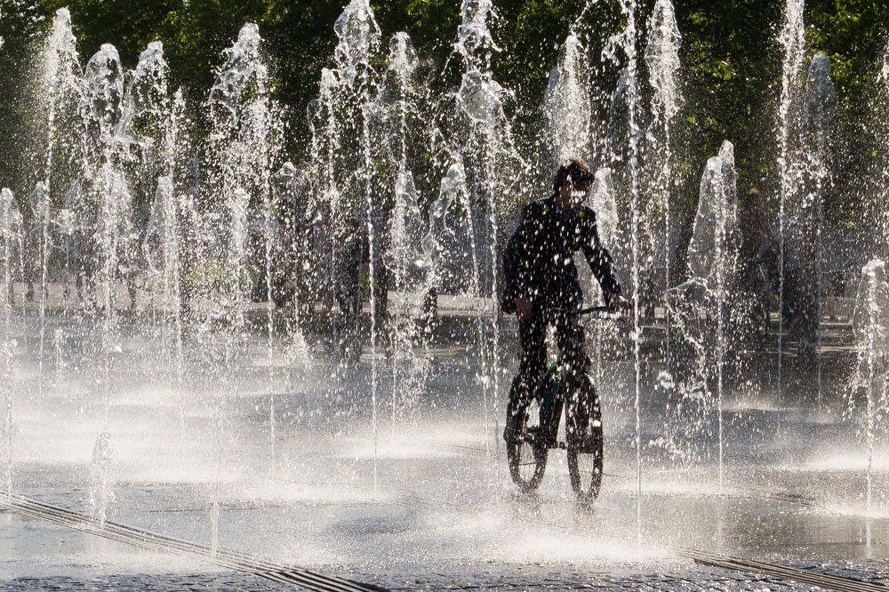 Photograph by Полина Парамонова