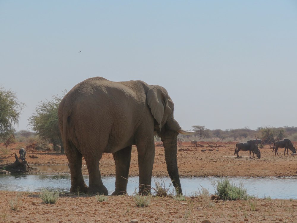 Водяное перемирие