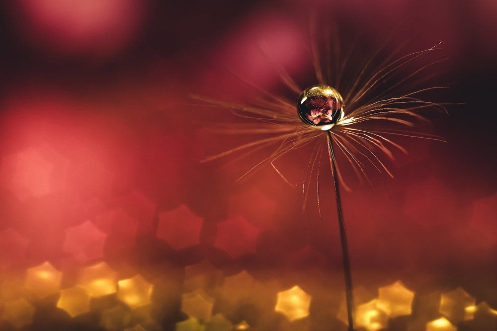 Фотография автора Andrey Sosnovsky