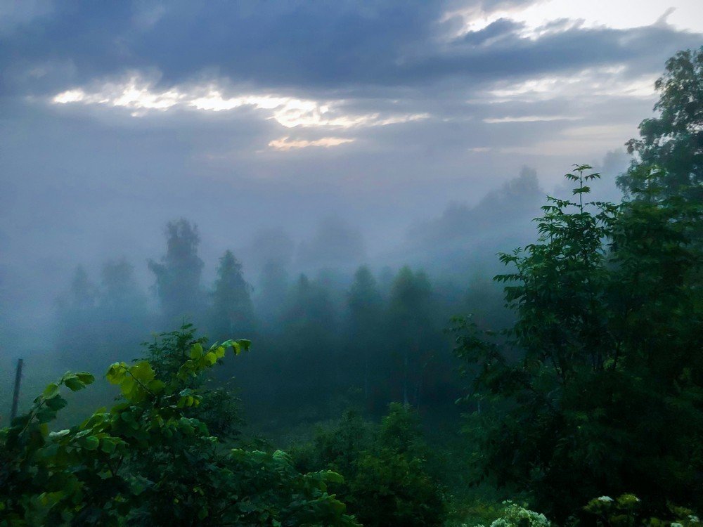 Photograph by Karen Khachaturyants