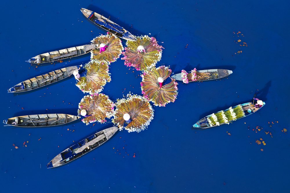 The waves of flowers