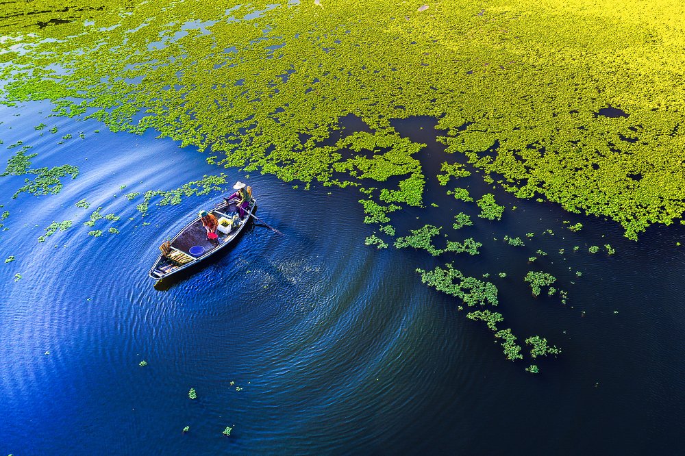 Photograph by HIEN LE