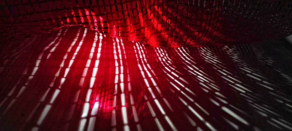 Фотография автора Abhitha Mohan