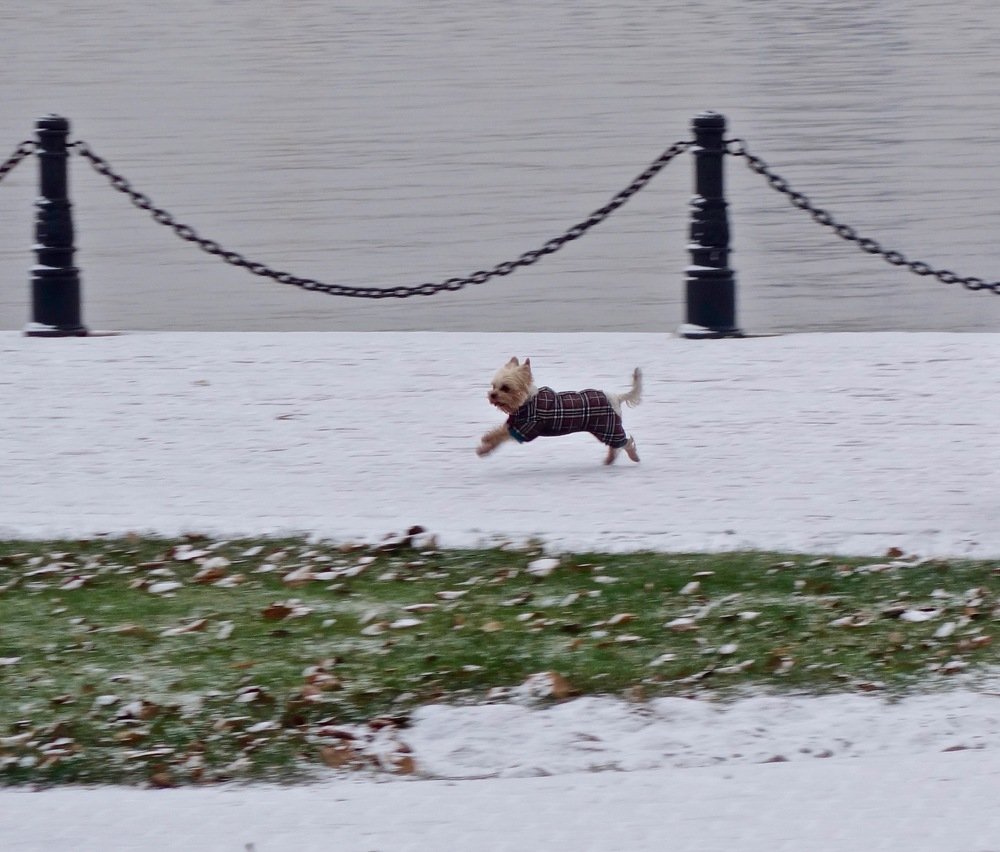 Photograph by Елена Жукова