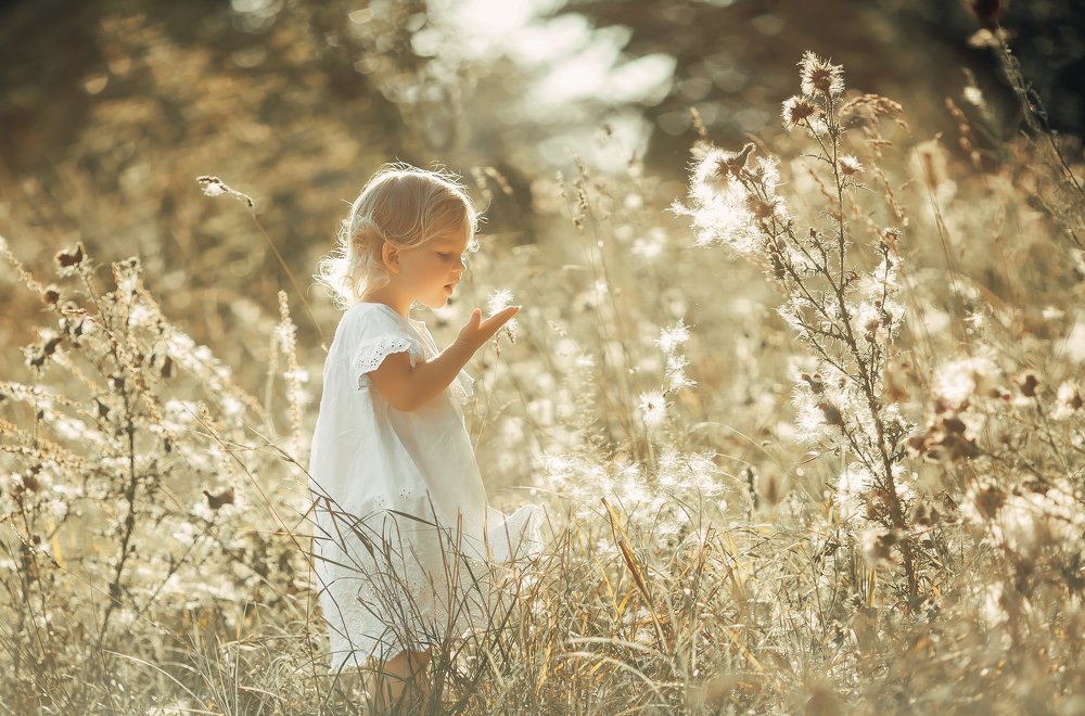 Фотография автора алексей брест