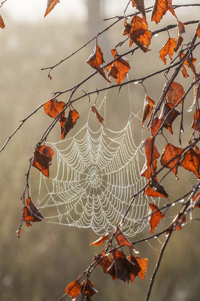 Photograph by Ivars Salmanis