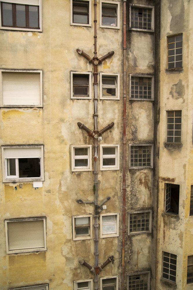 Photograph by Raivo Kremer