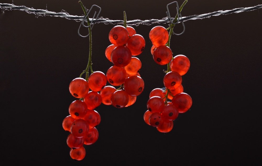 Фотография автора Evgeniya Fedorova