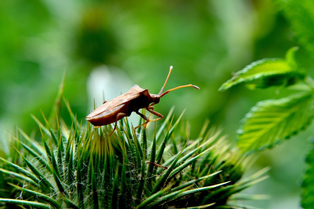 Photograph by Szabó László