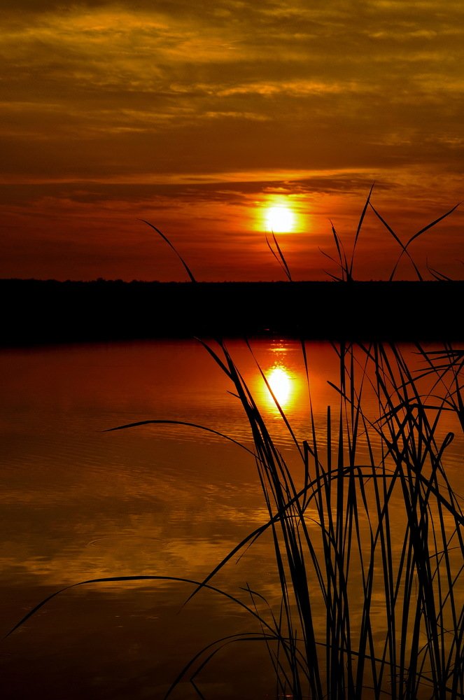 Photograph by Сергей Дружаев