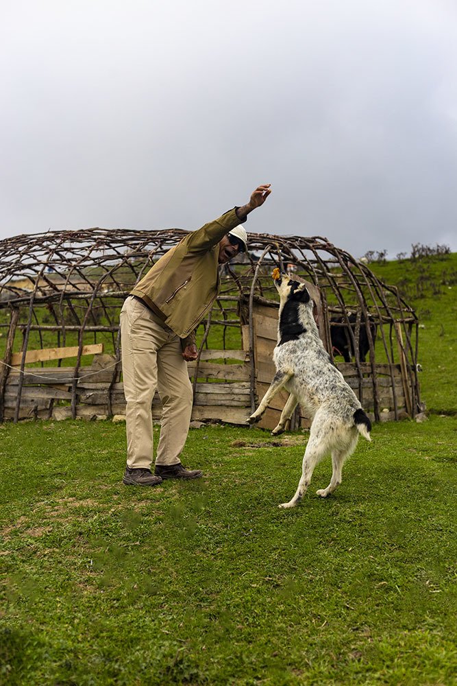 Photograph by mehdi yaghoobi