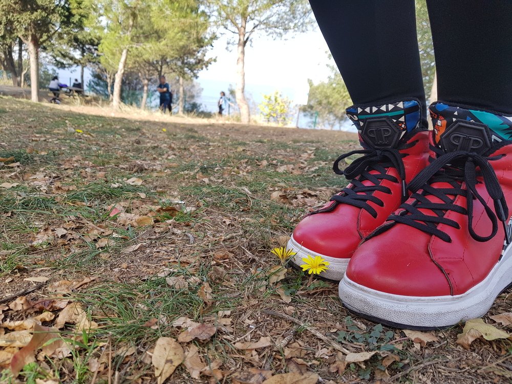 Photograph by Shabnam Qahremanpoor