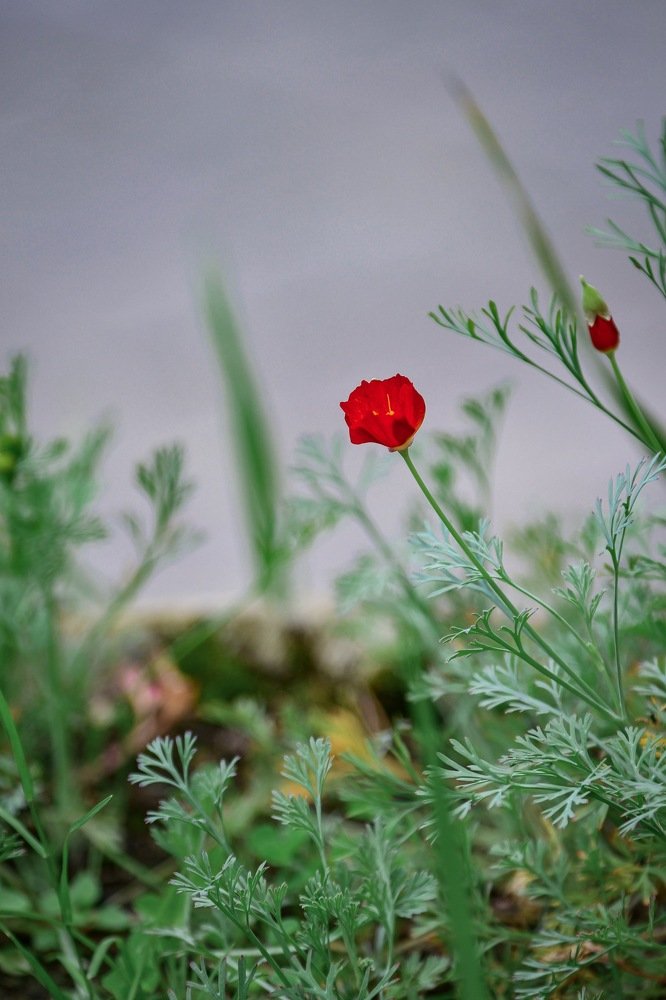 Photograph by Анна Белка