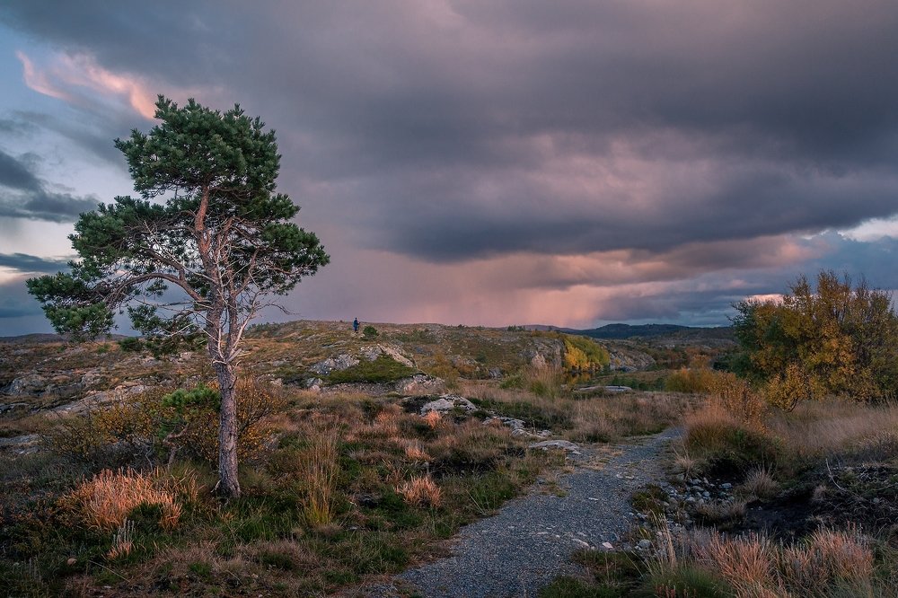 Photograph by Олег Мильбергер