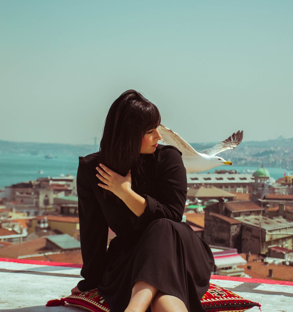 Photograph by Sajedeh