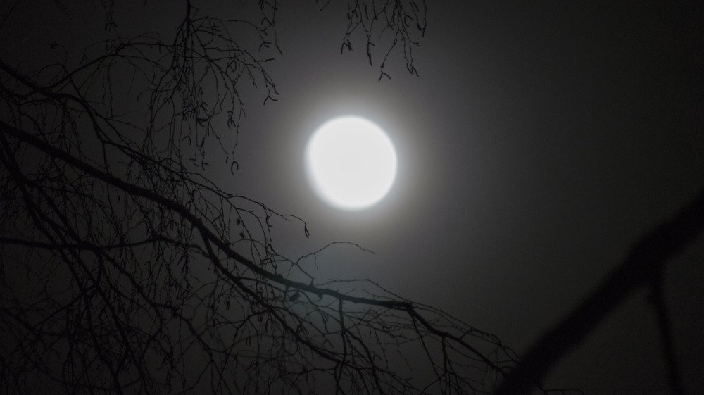 Photograph by Геннадий Ярков