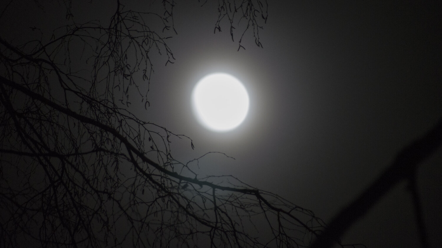 Photo #3855857
