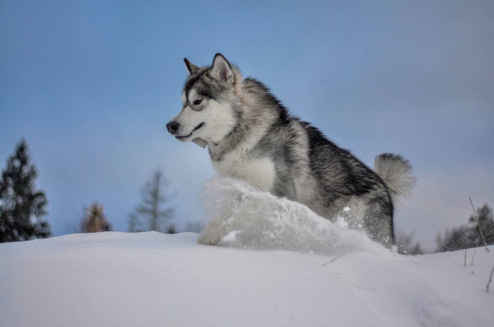 Photograph by Nastya Guseva