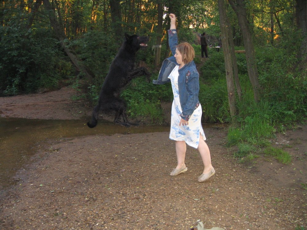 Photo #3856015