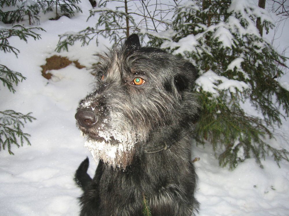 Photo #3856031