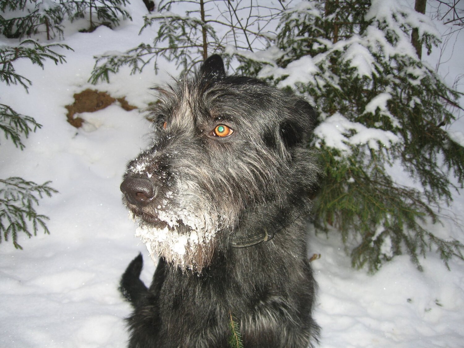 Photo #3856031