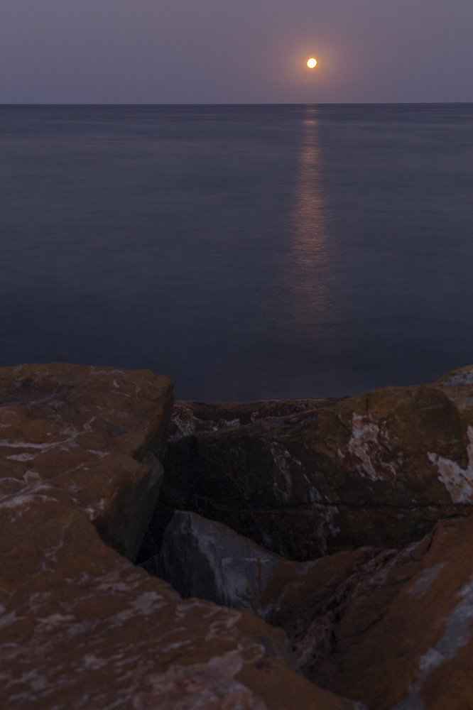 Photograph by Анна Кныш