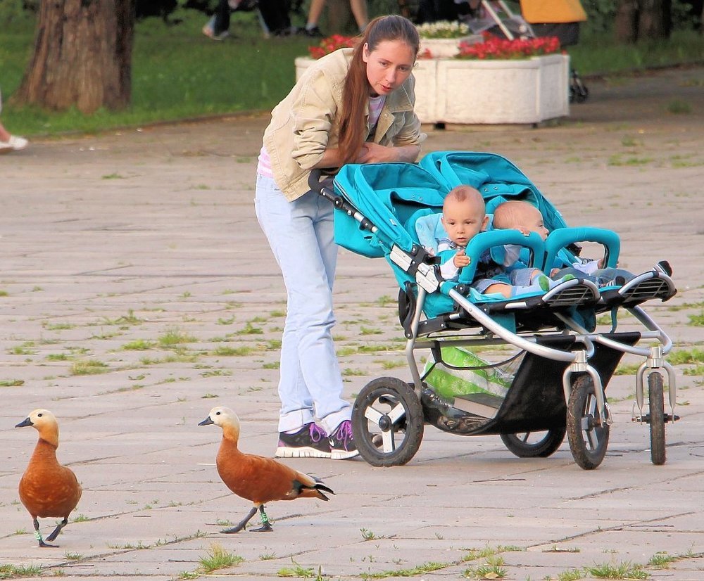 в парке Дружбы