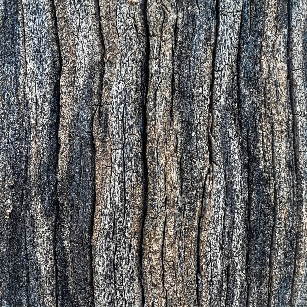 Фотография автора Alipour mohammad