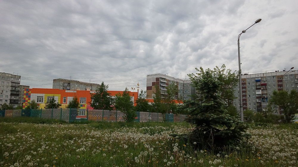 Фотография автора Александр Осинцев