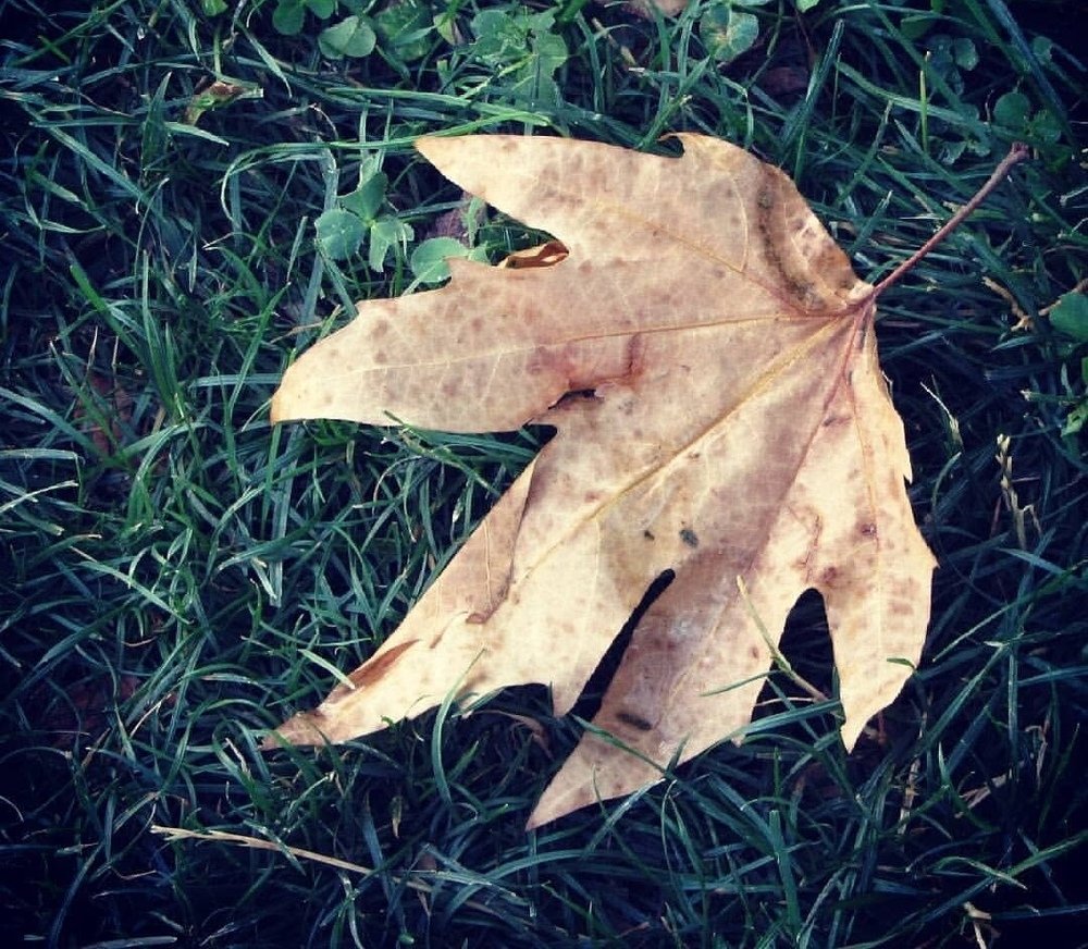 Photograph by Soleimani Hoda